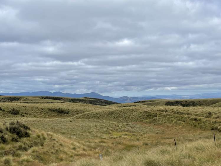 732 Beaumont Highway Clutha_5