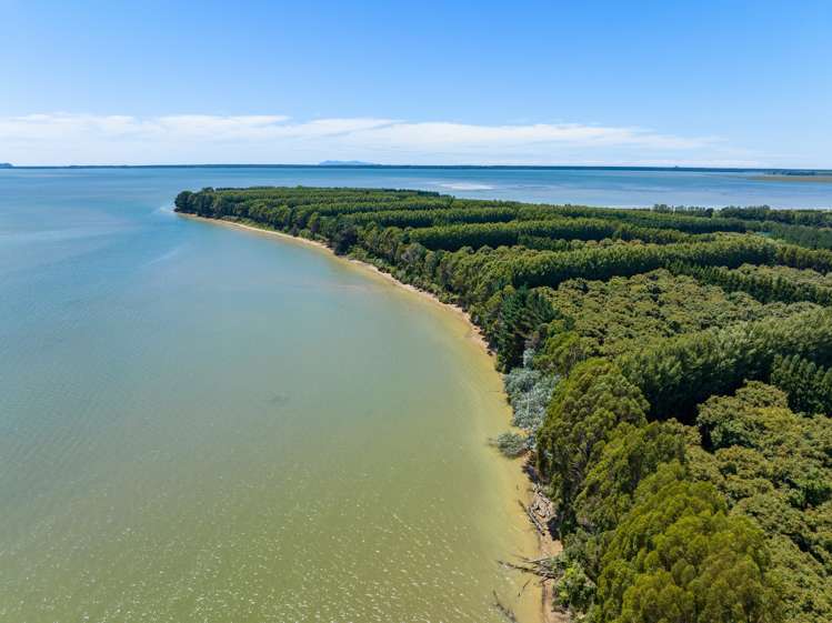 Matahui Road Aongatete_18