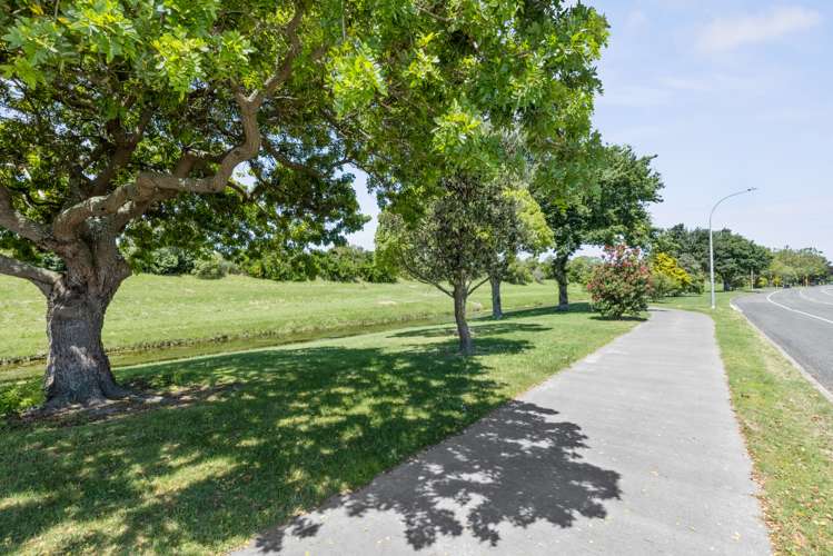 135 Westminster Avenue Tamatea_12