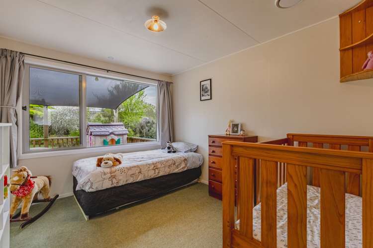 118 Mount Herbert Road Waipukurau and Surrounds_11