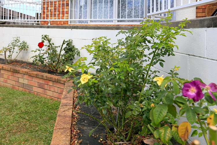 25 Vintage Drive Henderson_19