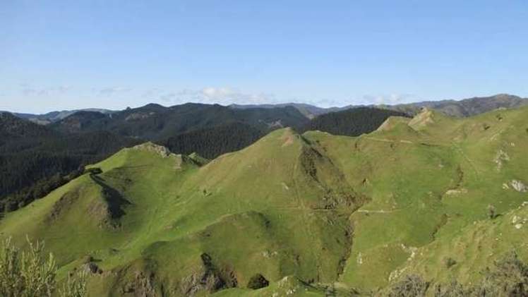 357 Summerhill Road Hinakura_18