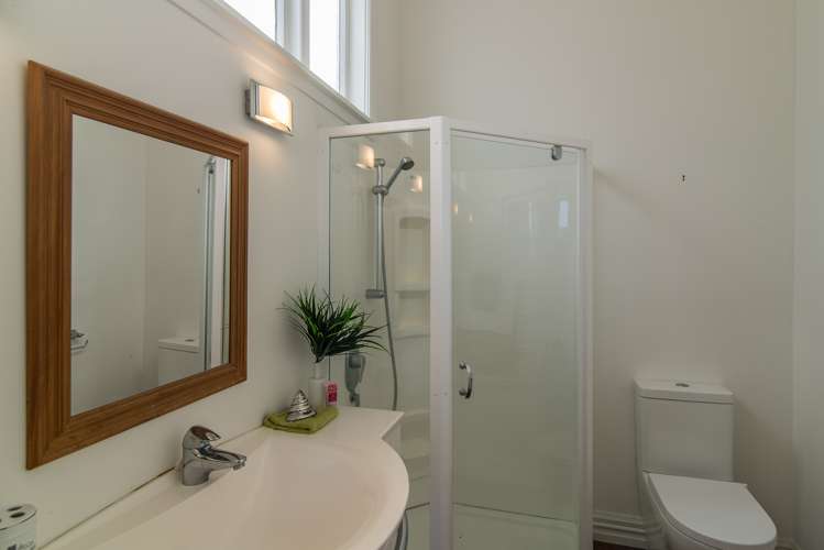 34 Mortimer Terrace Aro Valley_9