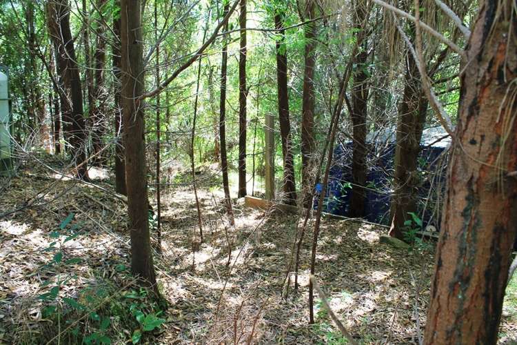 South East Bay Kenepuru Sound_10