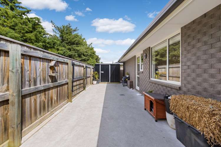 134 Turnbull Drive Witherlea_28