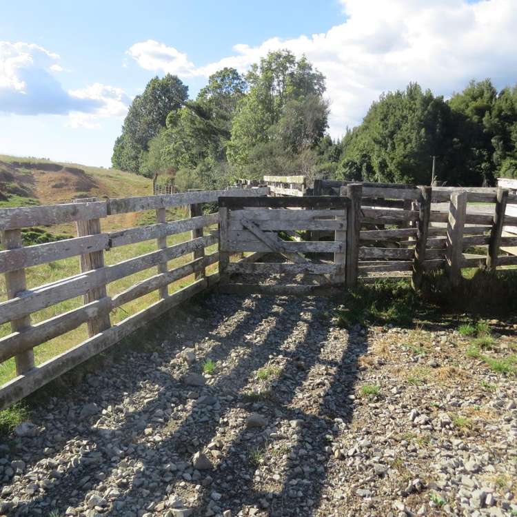1494 State Highway 4 Aria_22