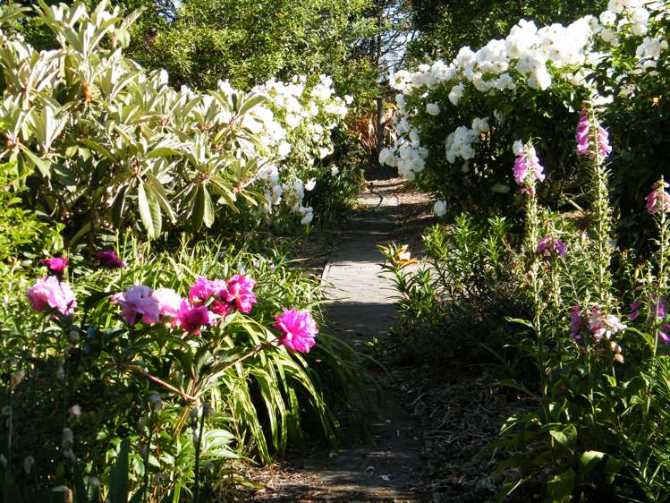 28 Thomsons Road Burnham_16