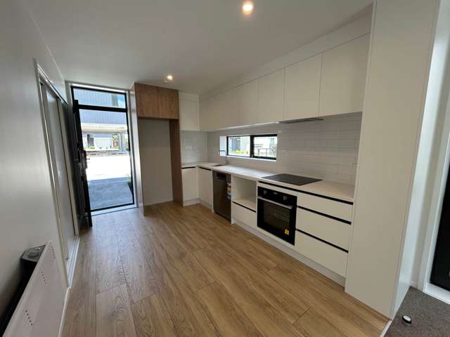 1/12 Treasure Lane Te Atatu South_2