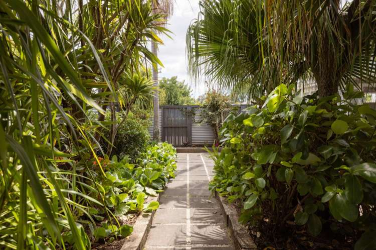 10 Collingwood Street Judea_28