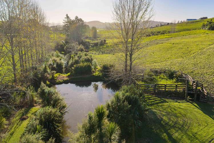715 Three Mile Bush Road Ruatangata West_20