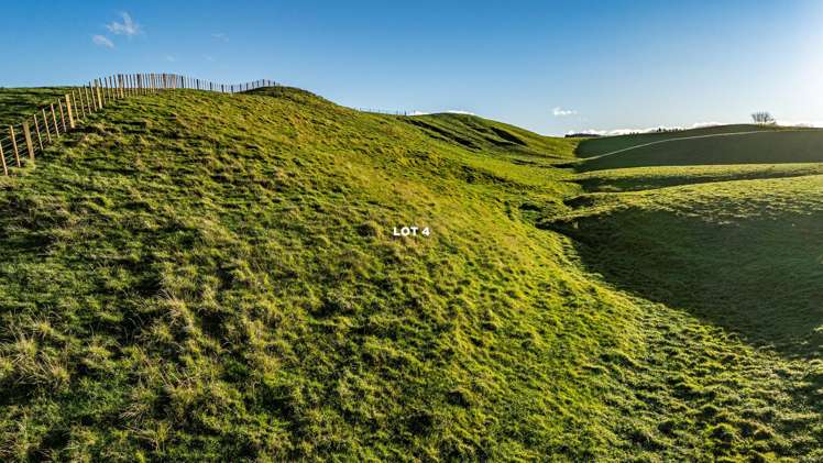 Lots 1 - 4, 2333 Puketitiri Road Rissington_17