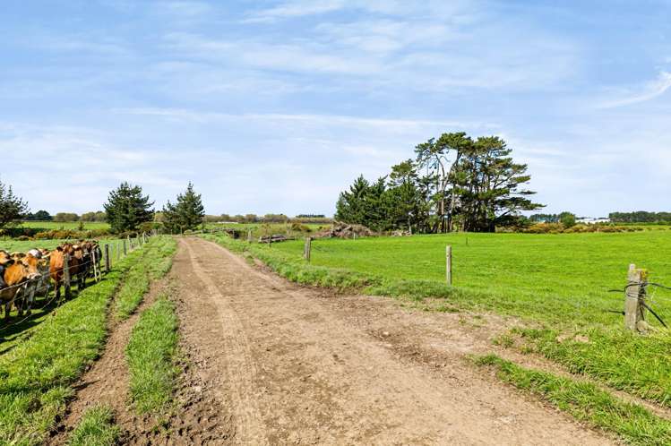 985 Manaia Road Kapuni_19