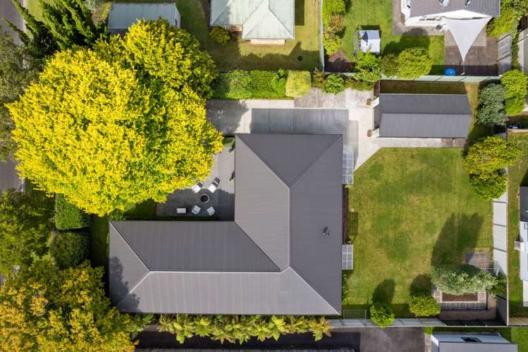 8 Bailey Avenue Claudelands_3