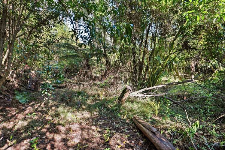 11A Saddleback Rise Murrays Bay_48