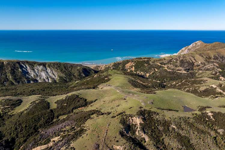 7611 State Highway 1 Ward_8