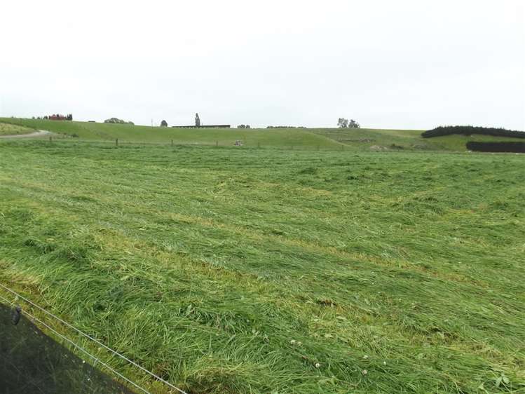 9 Hannifins Road Waimate_23