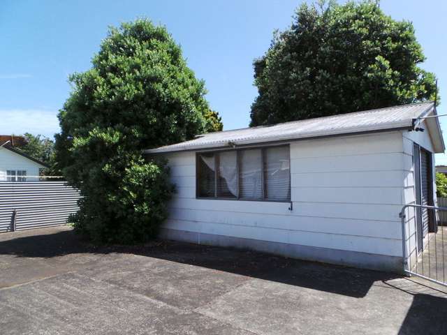 47 Keepa Street Levin_3