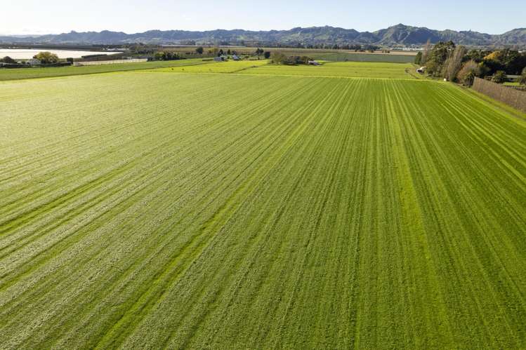 363 Matawai Road Waerenga A Hika_8