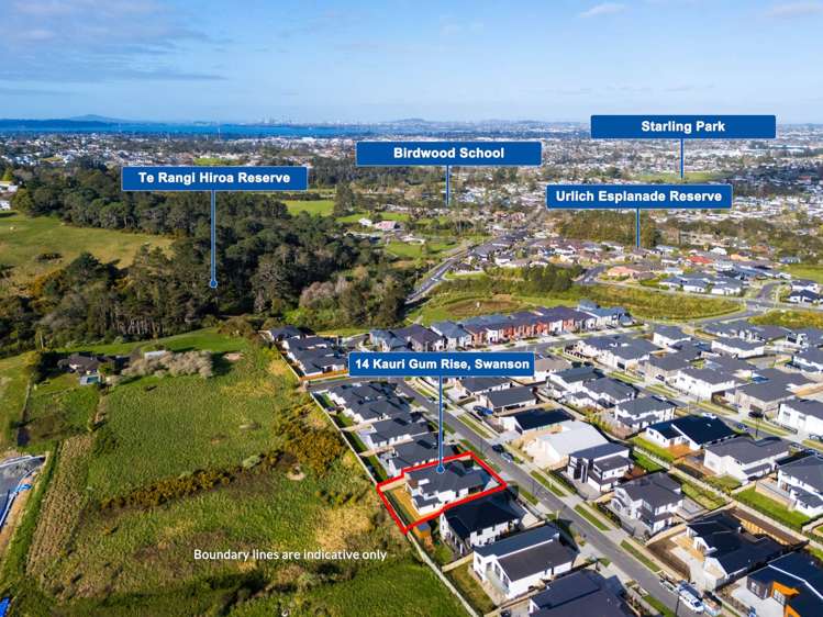 14 Kauri Gum Rise Swanson_33