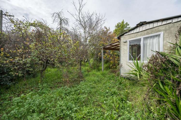 21 Franklyn Street Nelson South_17