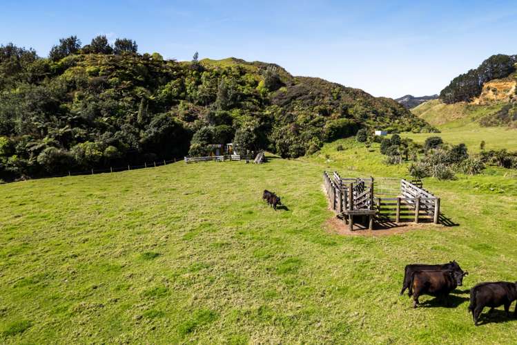 4020 Mokau Road Tongaporutu_5