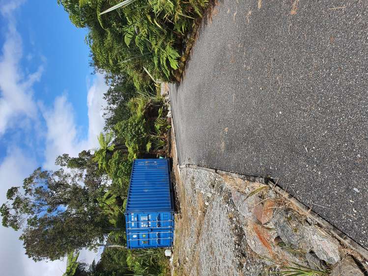 5 Middleton Place Franz Josef Glacier_10