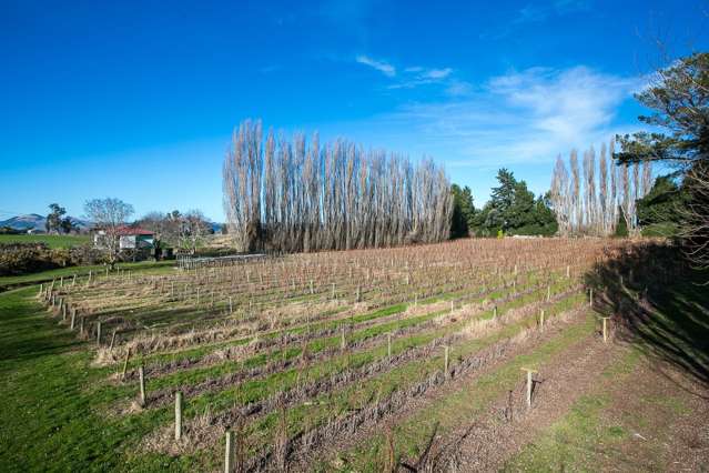 781 Outram-Mosgiel Road Mosgiel_3