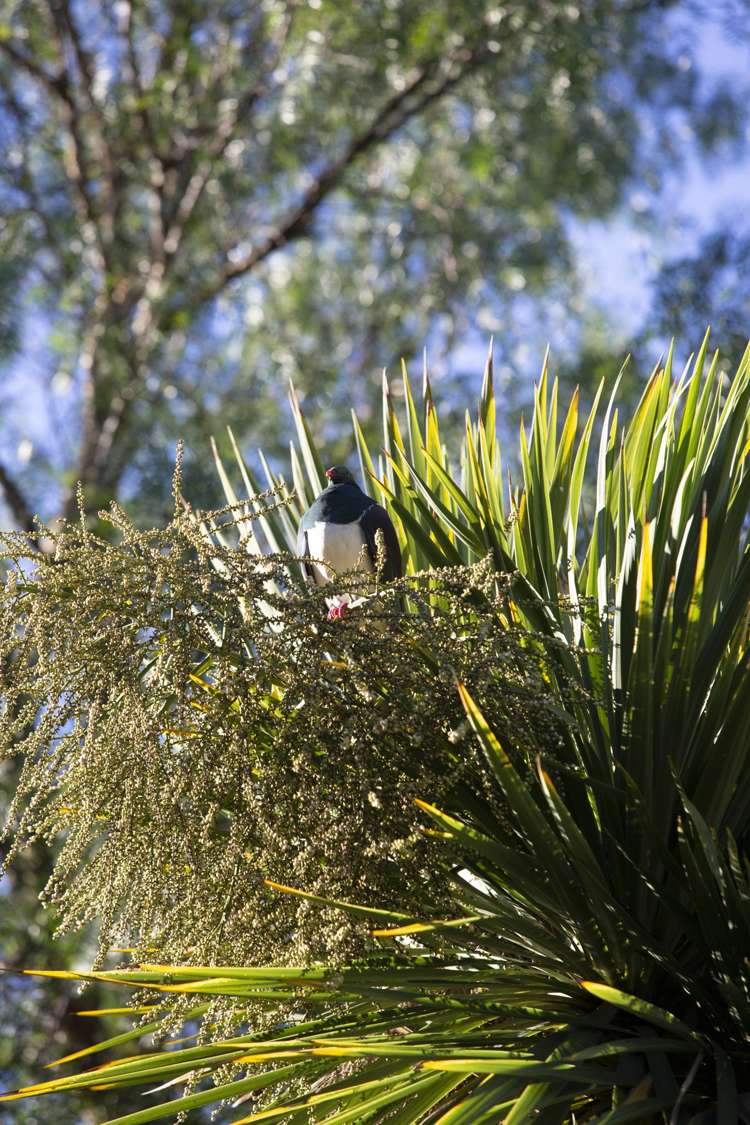 28 Valley Road Cashmere_12