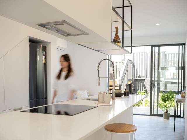 77 Freeland Avenue Mount Roskill_1