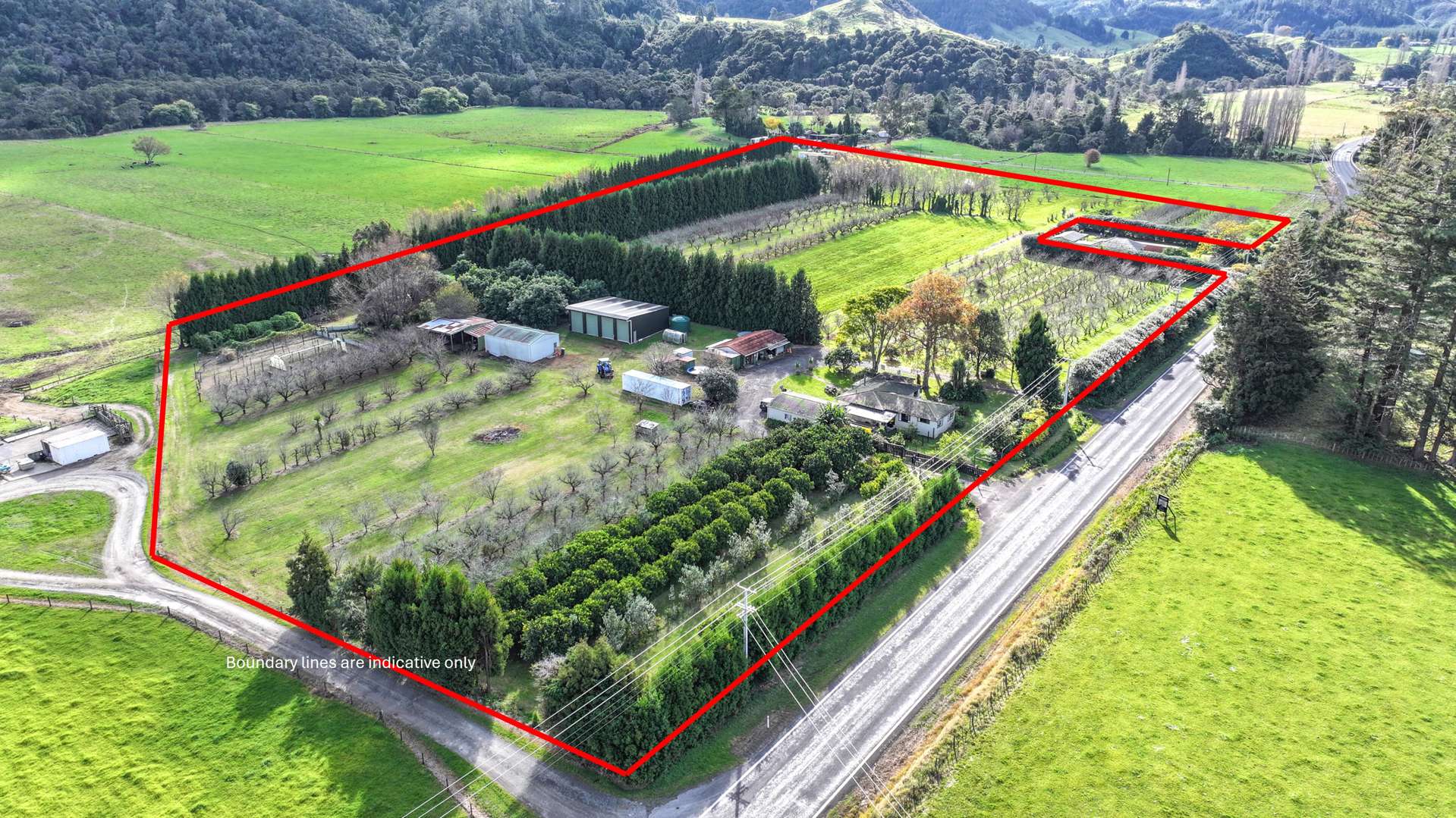 1079 Tairua Sh25 Road Whangamata_0