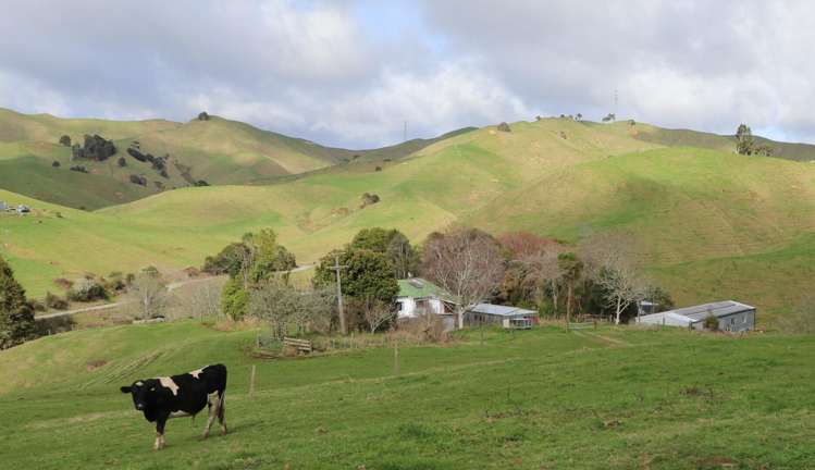 259 Elgood Road Ngaruawahia_9