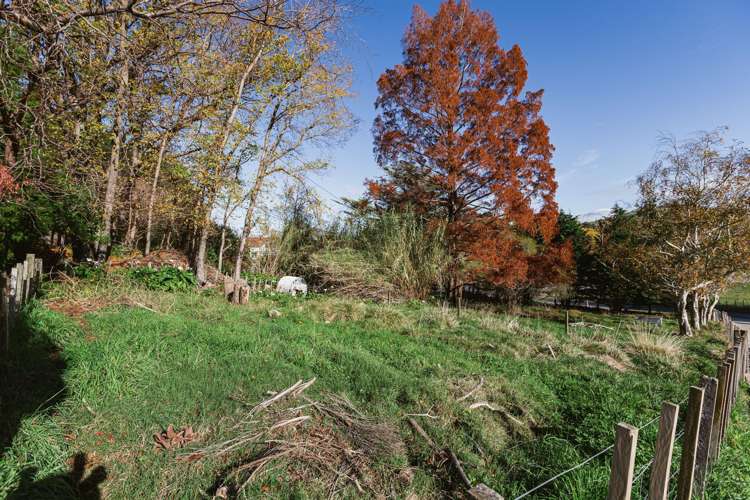 164 Hill Road Eskdale_10