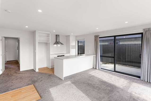 41 Waikirikiri Avenue Lincoln_3