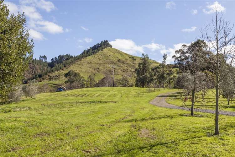 77 Packtrack Road Thames_29