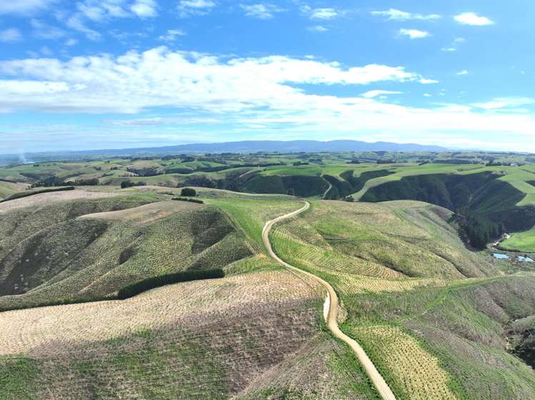 174 McCulloch Road Awamangu_22