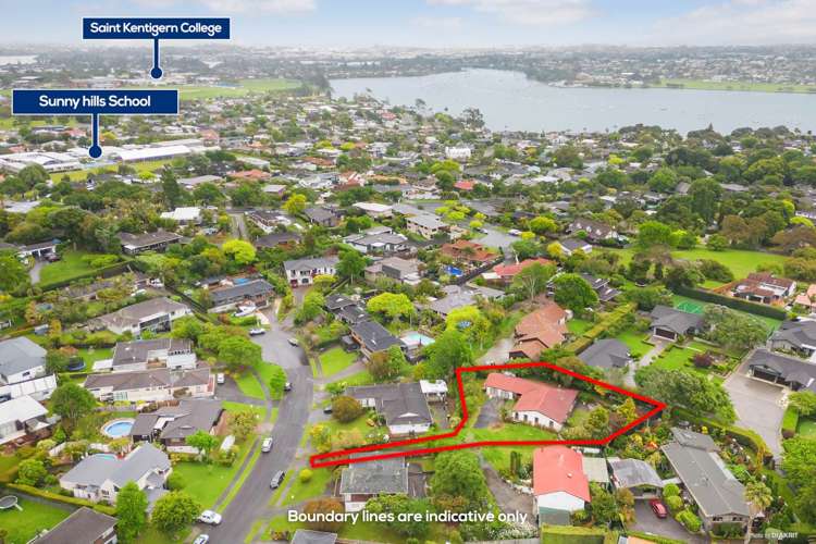 11 Hamish Place Sunnyhills_3