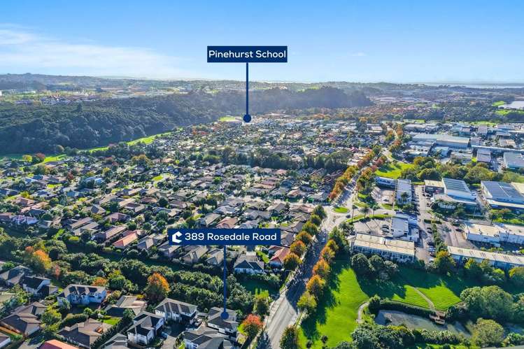 389 Rosedale Road Albany_26