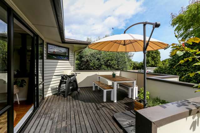 7e Tasman Street Vogeltown_1