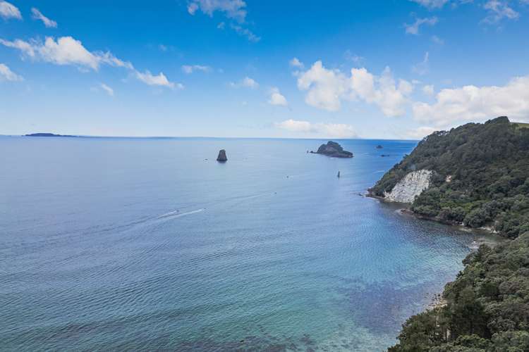 396 Lees Road Hahei_16