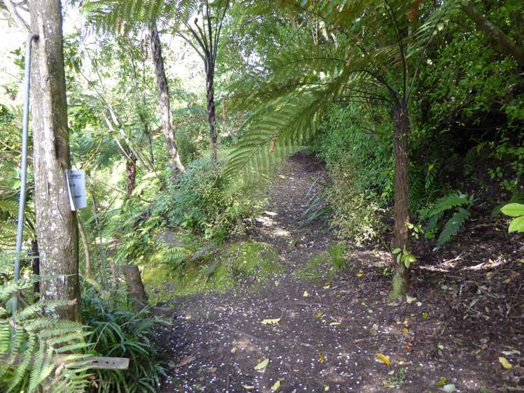 866 Acacia Bay Road Acacia Bay_10