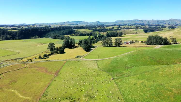 412 France Road Matamau_30