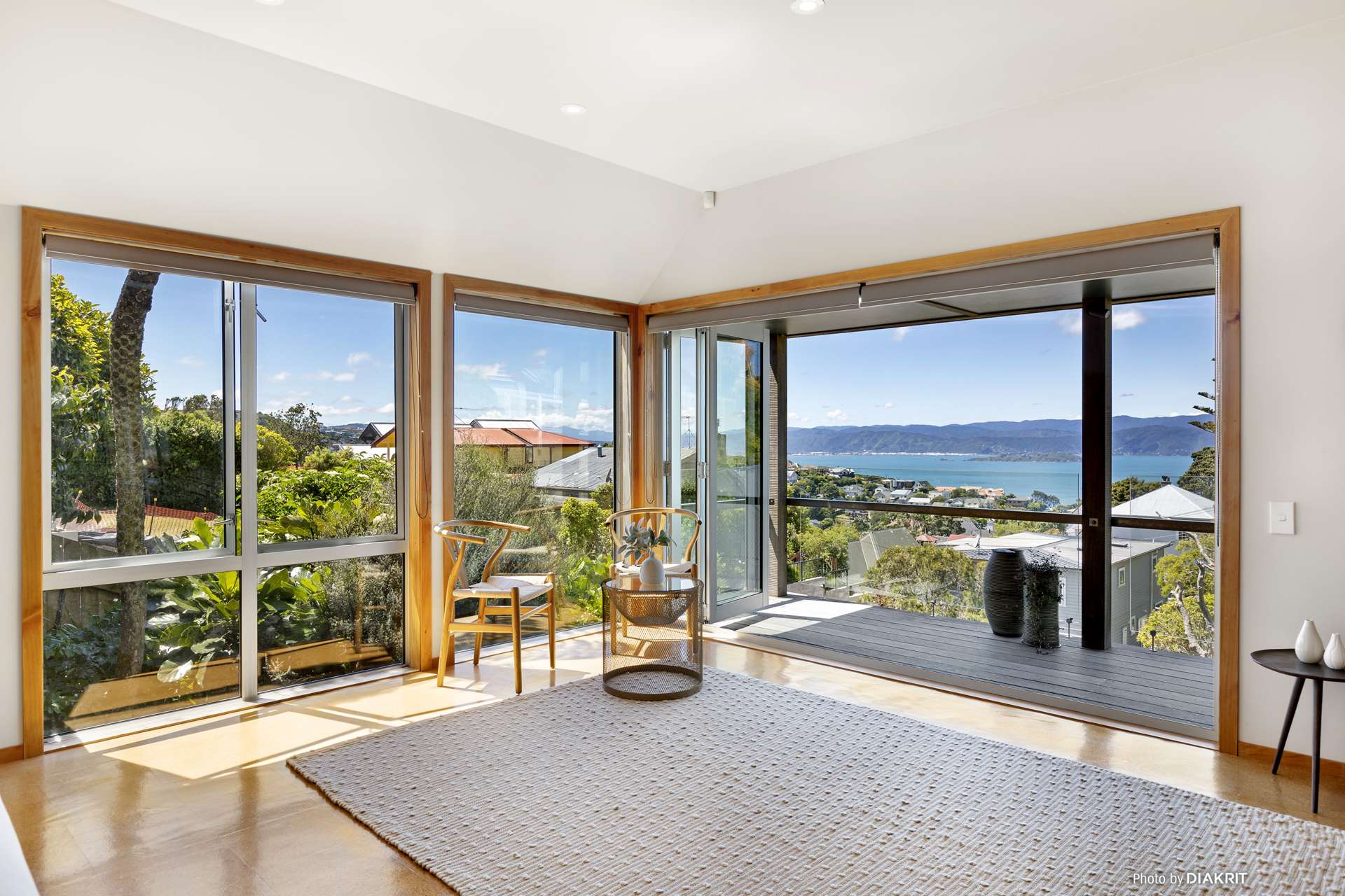 56 Wade Street Wadestown_0