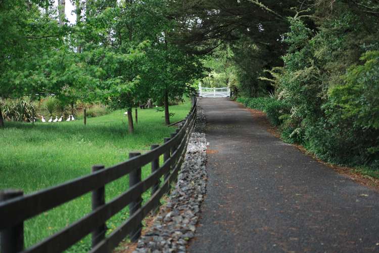 37 Markham Road Ararimu_14