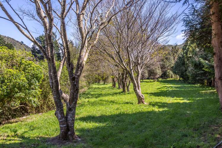 766 State Highway 2 Featherston_10