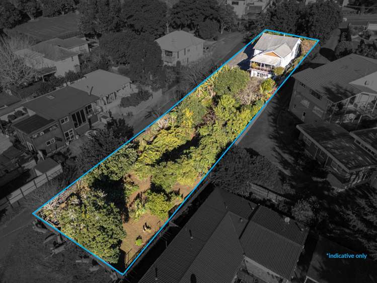 14 Budock Road Hillsborough_1