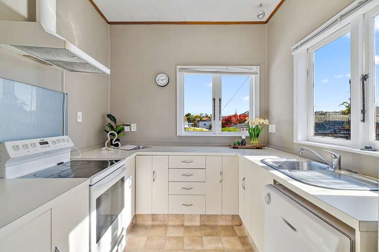 5 Oak Street Royal Oak_6