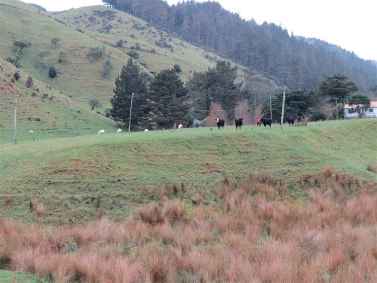 985 Ohariu Valley Road Ohariu_5