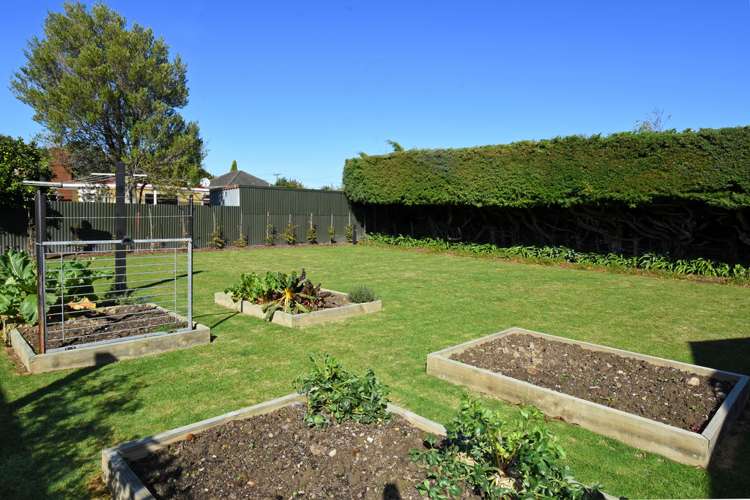 6 Cork Street Martinborough_14