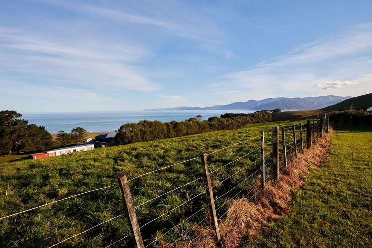 23 Miromiro Drive Kaikoura_6