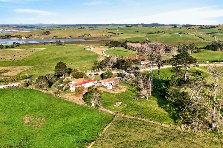343 Neems Road Tinopai_19